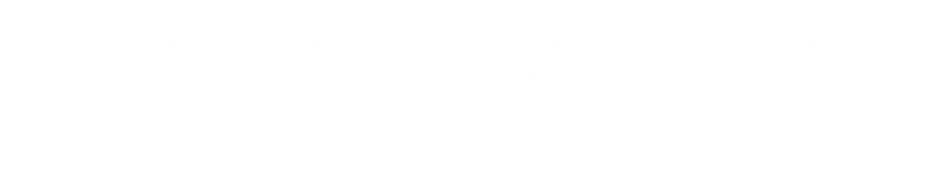 Cervello